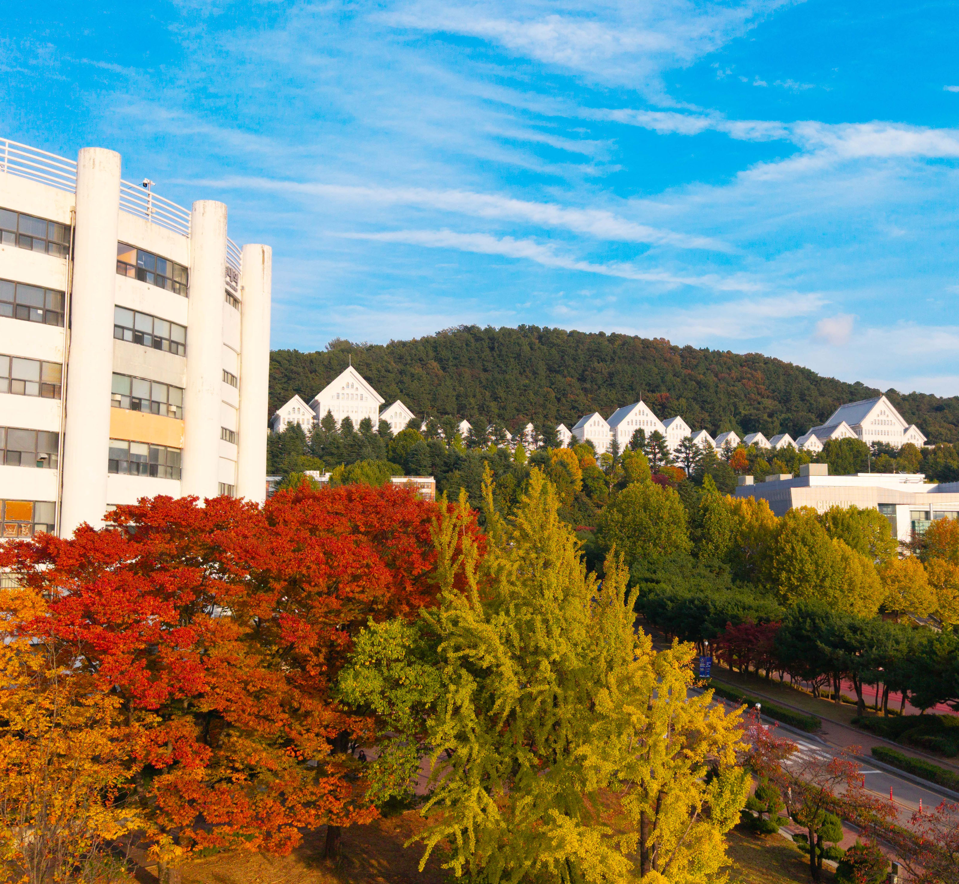 본관 가을전경 대표이미지