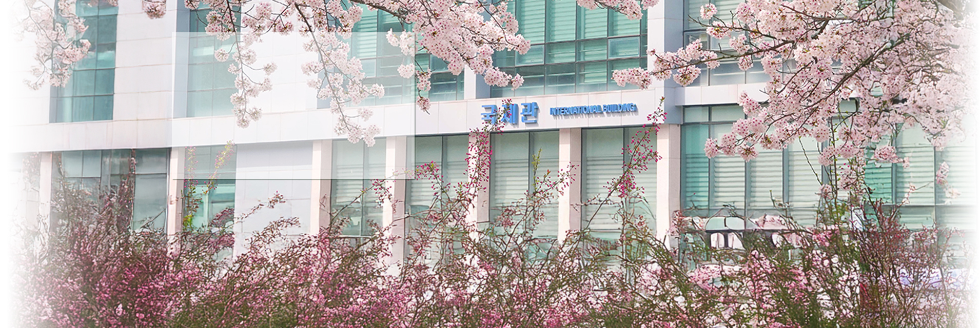 비쥬얼 화면